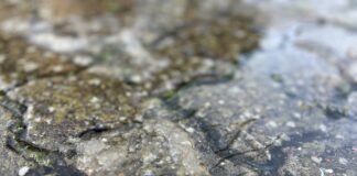 Blæst og regn sætter gang i første søndag i advent