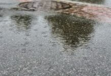 DMI: Kommunerne tager Klimaatlas til sig i arbejdet med fremtidens klima