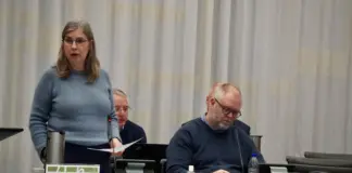 Danmarks første hjerneplan er syddansk og sender millioner til neurologien