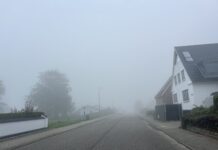 DMI varsler tæt tåge i store dele af landet
